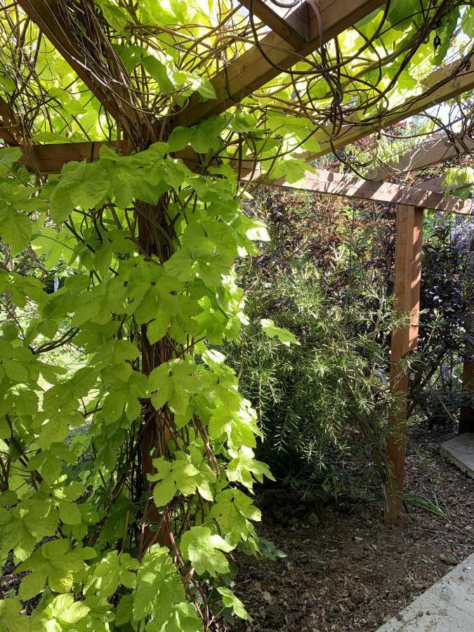 Woodpaddock Bed & Breakfast March Esterno foto